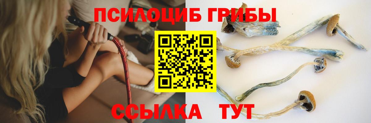 Галлюциногенные грибы GOLDEN TEACHER  Псилоцибиновые грибы Psilocybine cubensis  Вход с VPN  Нягань 